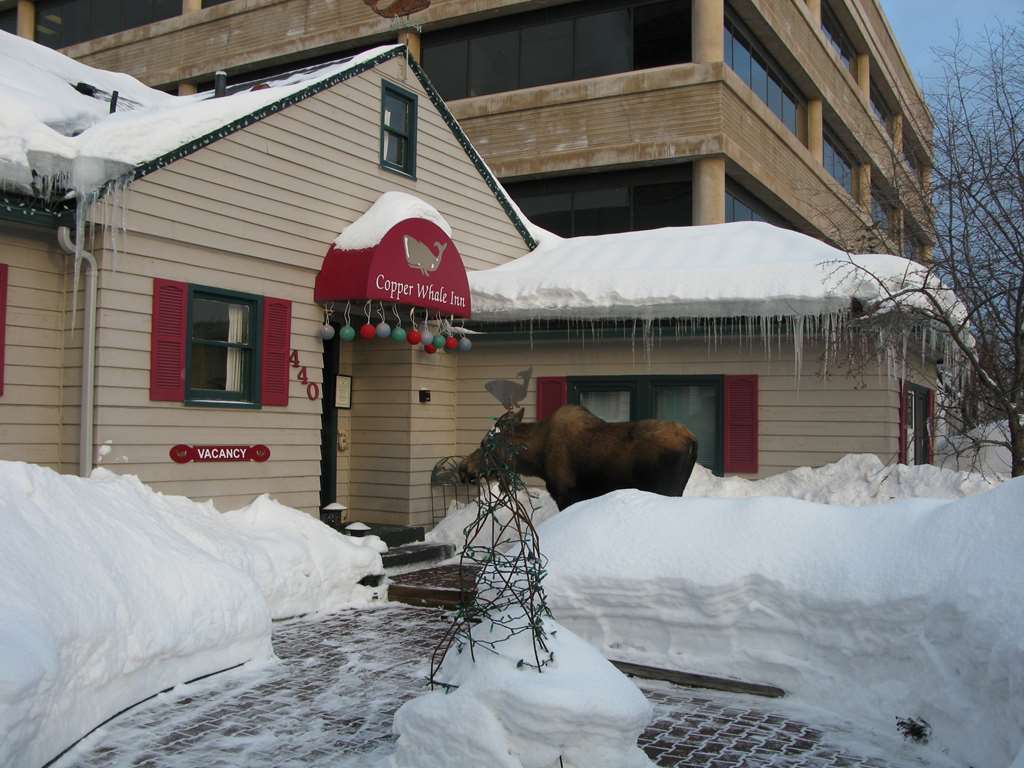Copper Whale Inn Anchorage Eksteriør bilde